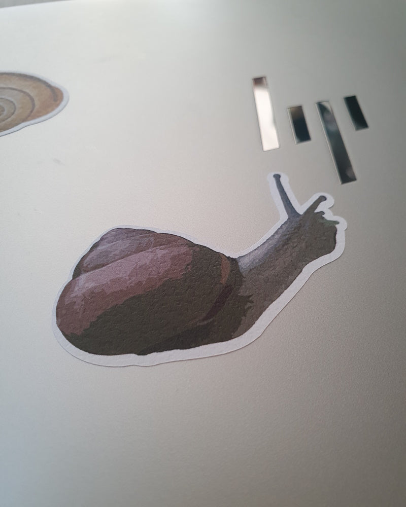 Sticker «Tier des Jahres 2025»