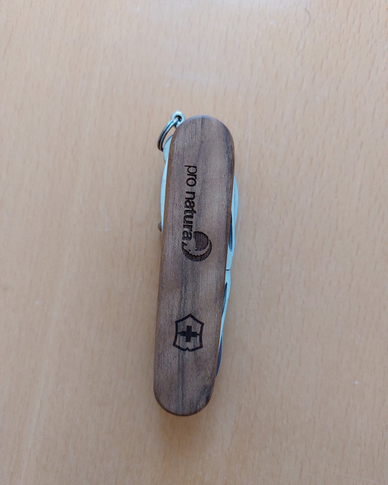 Couteau de poche, noyer FSC