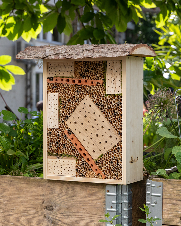 Hôtel à abeilles sauvages