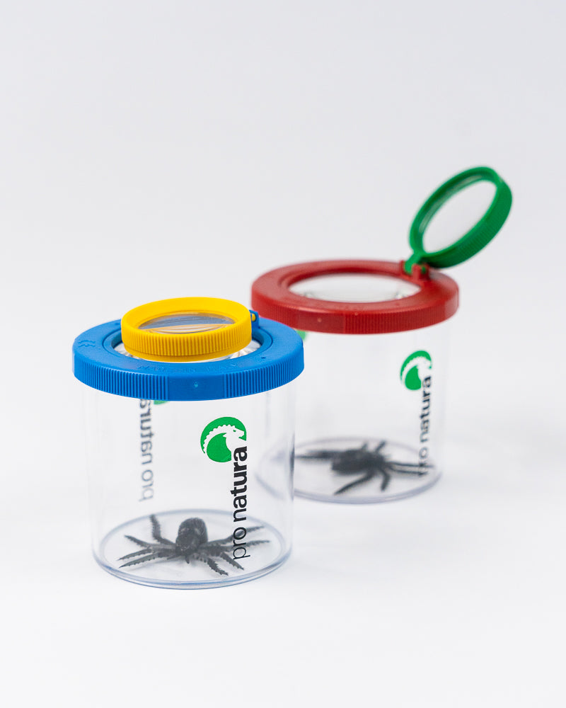 Boîte loupe, 2 pièces