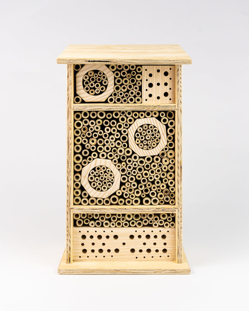 Nichoir à abeilles sauvages
