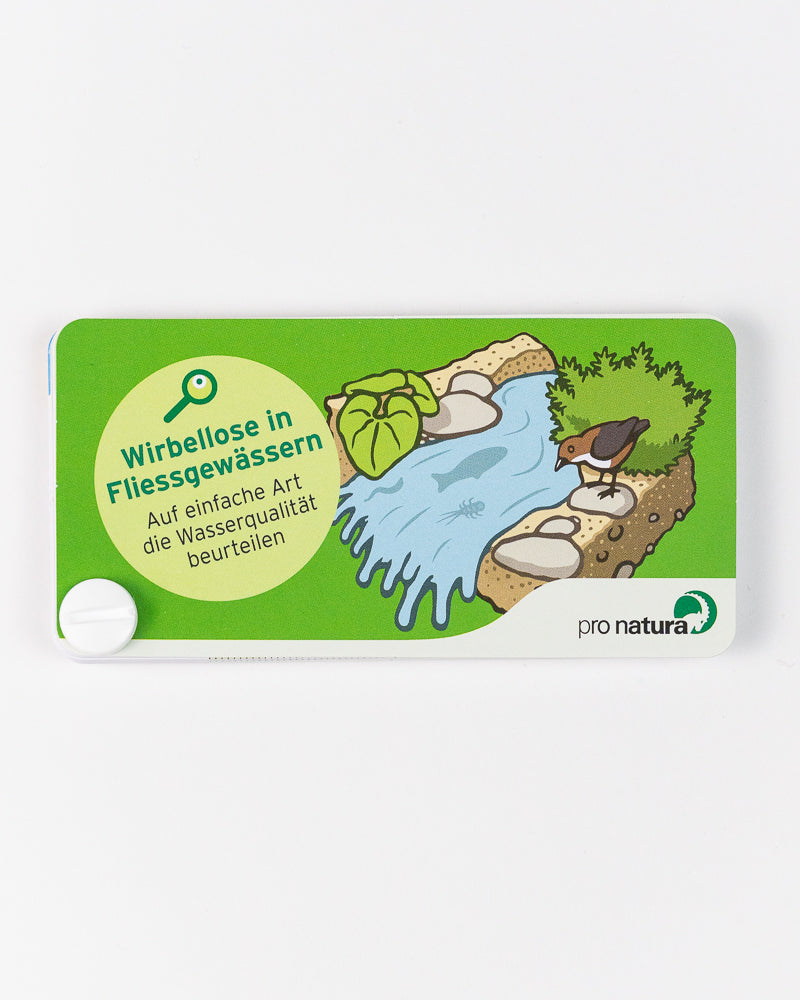 Guide de poche - petits invertébrés des rivières