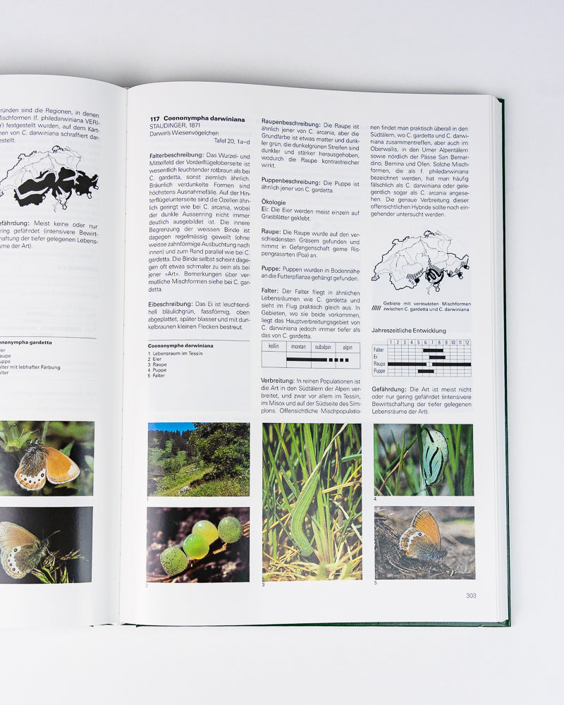 Les papillons de jour et leur biotopes, Volume 1