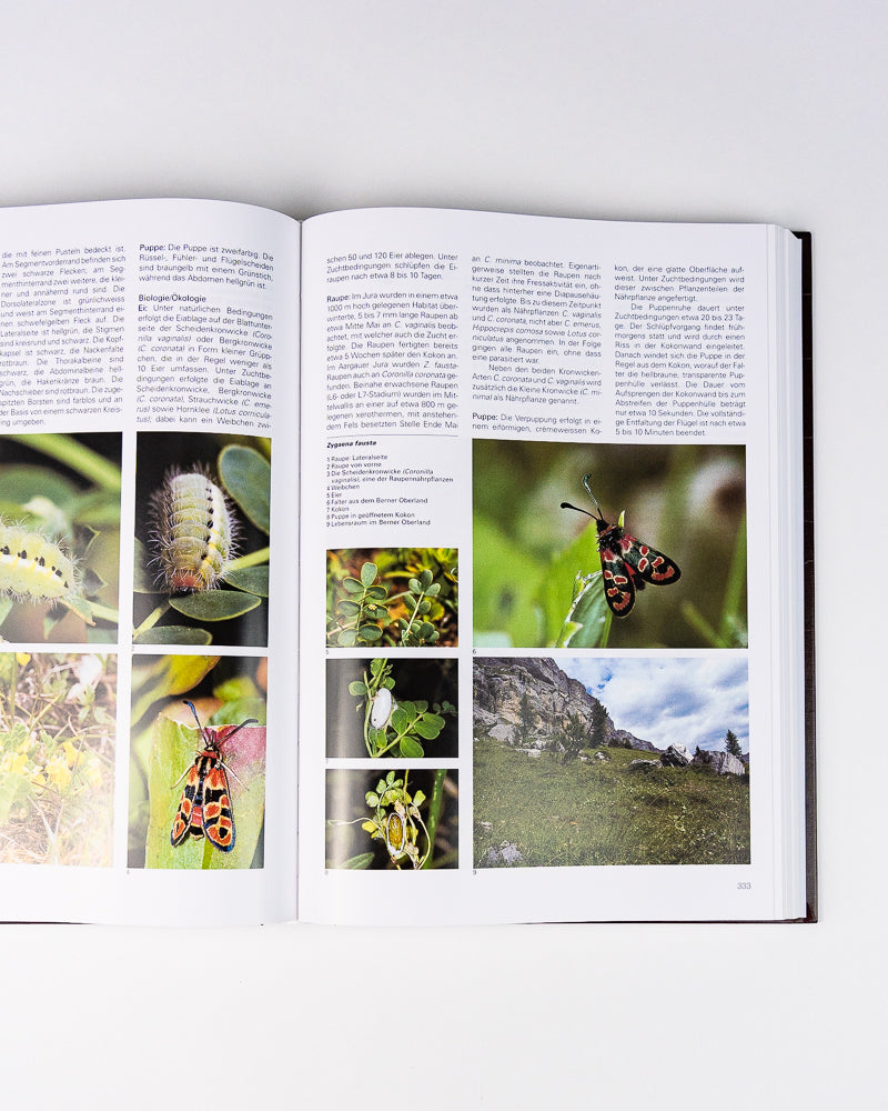 Les papillons et leurs biotopes, Volume 2