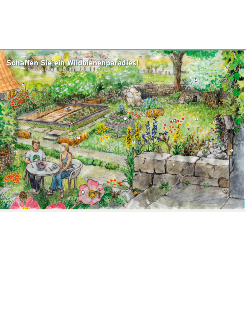 Dépliant «Un jardin pour les abeilles sauvages»