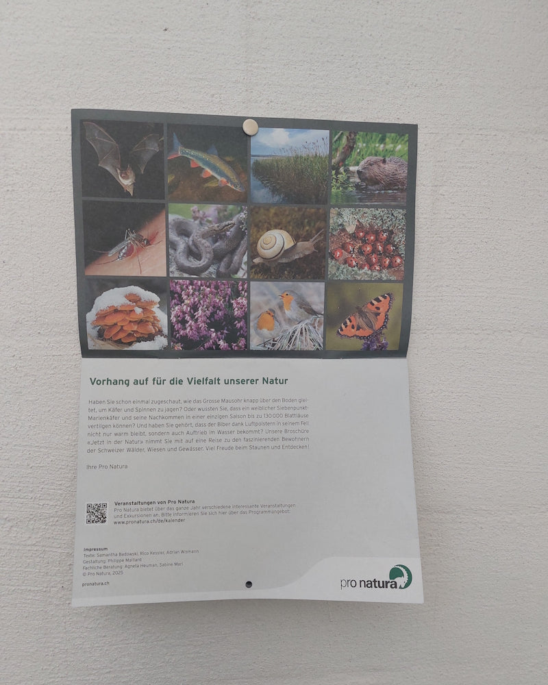 Wandkalender: Jetzt in der Natur