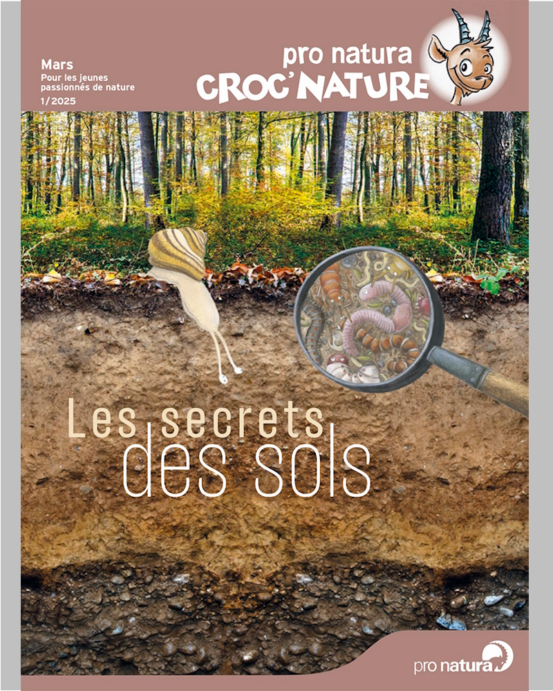 2025/1 Croc’nature: les secrets des sols