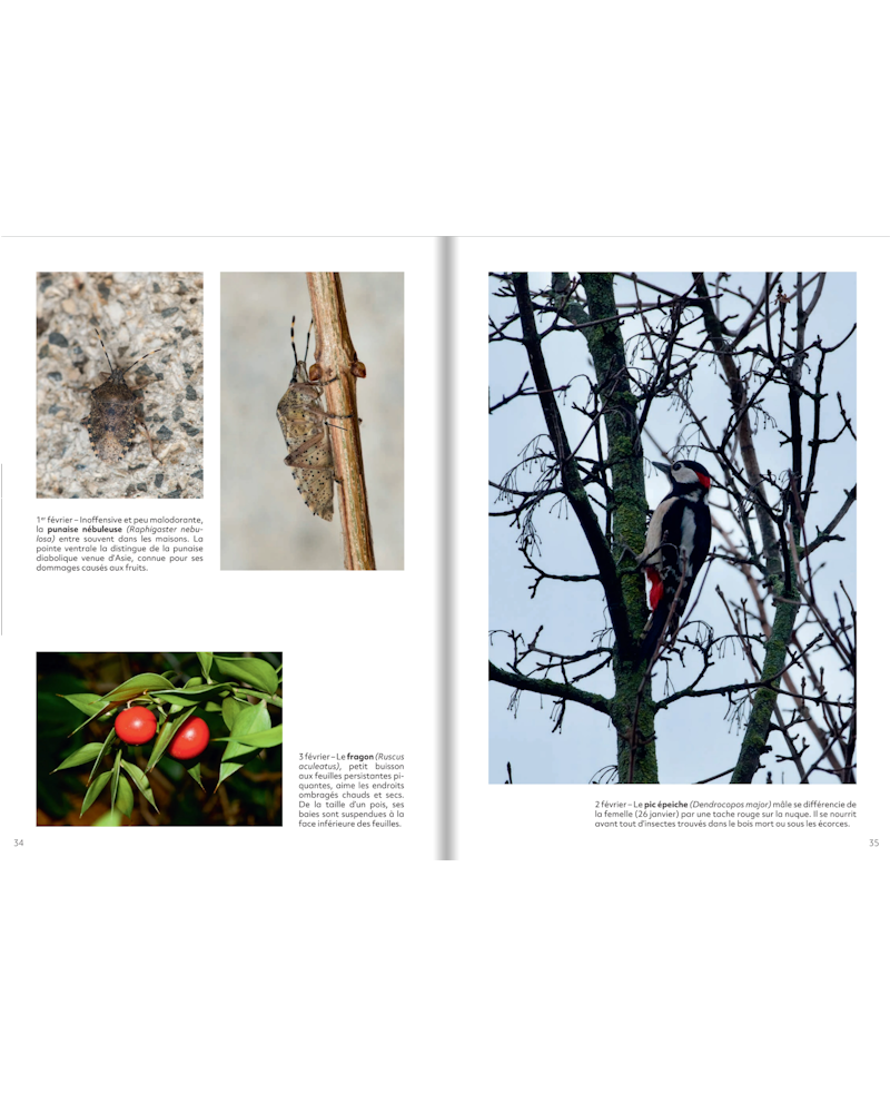 Ungewöhnliche Natur vor unserer Haustür