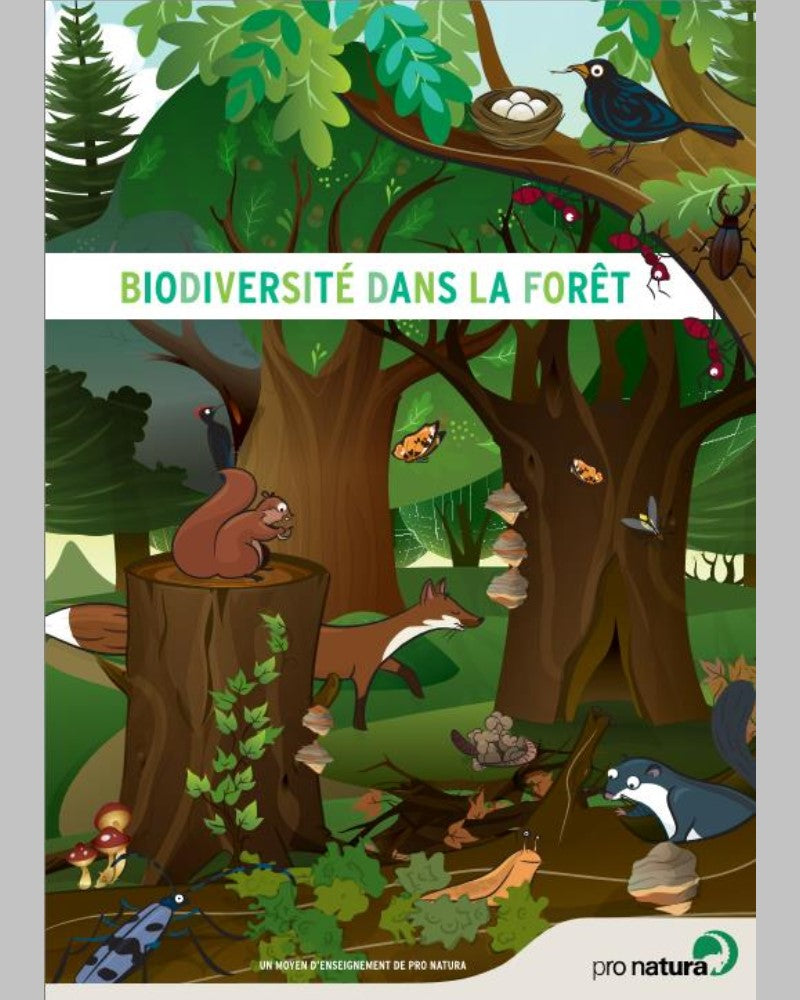 Unterrichtshilfe «Biodiversität im Wald» digital