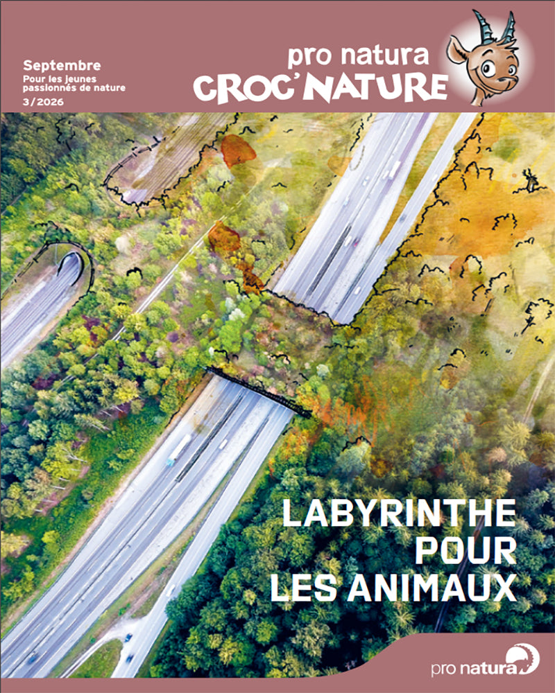 2026/3 Croc’nature: labyrinth pour les animaux