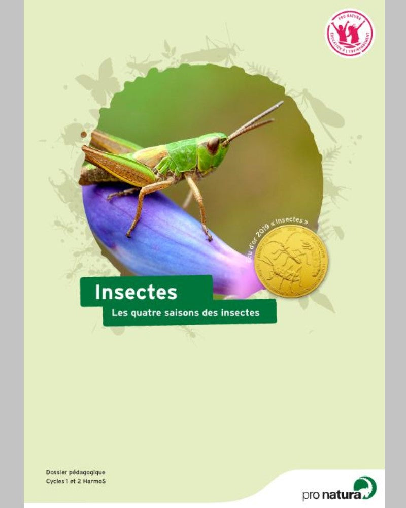Dossier pédagogique numérique: Insectes