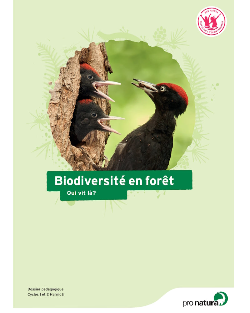 Unterrichtshilfe «Biodiversität im Wald» digital