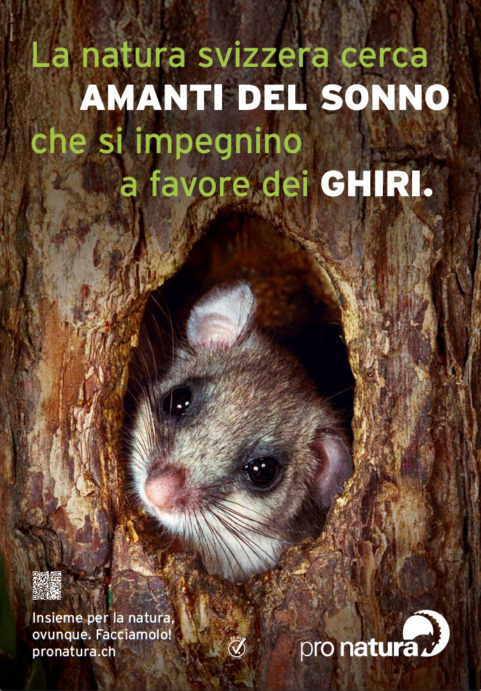 Kampagnenplakat: Siebenschläfer