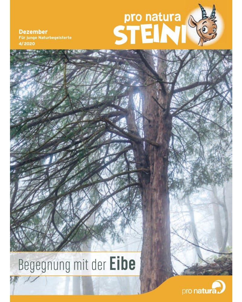 2020/4 Steini: Begegnung mit der Eibe – Pro Natura Shop