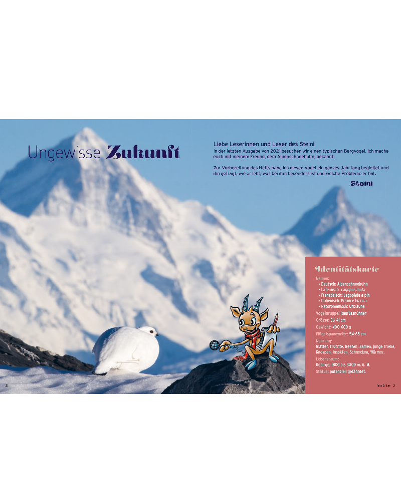 2021/4 Steini: Ein Jahr mit dem Alpenschneehuhn