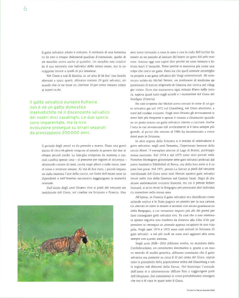 Pro Natura Magazine Spécial 2020: Chat sauvage 