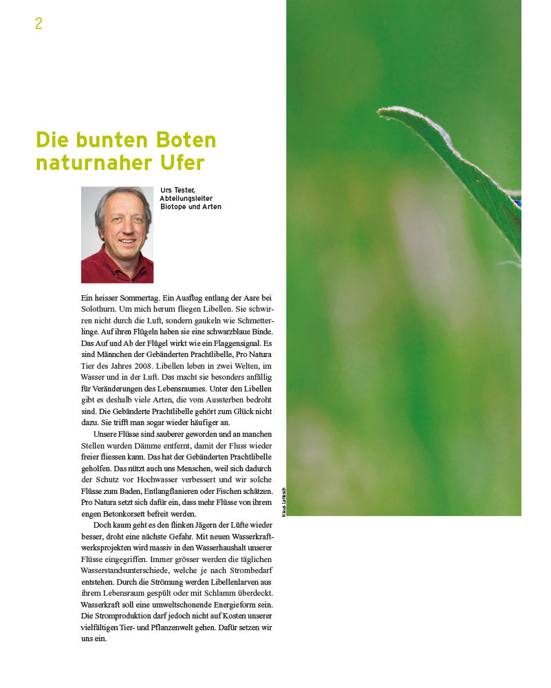 Pro Natura Magazine Spécial 2008: Les libellules