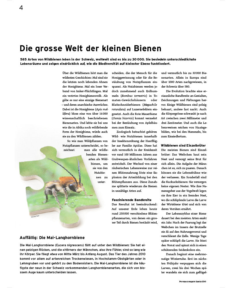 Pro Natura Magazin Spezial Wildbienen (2010)