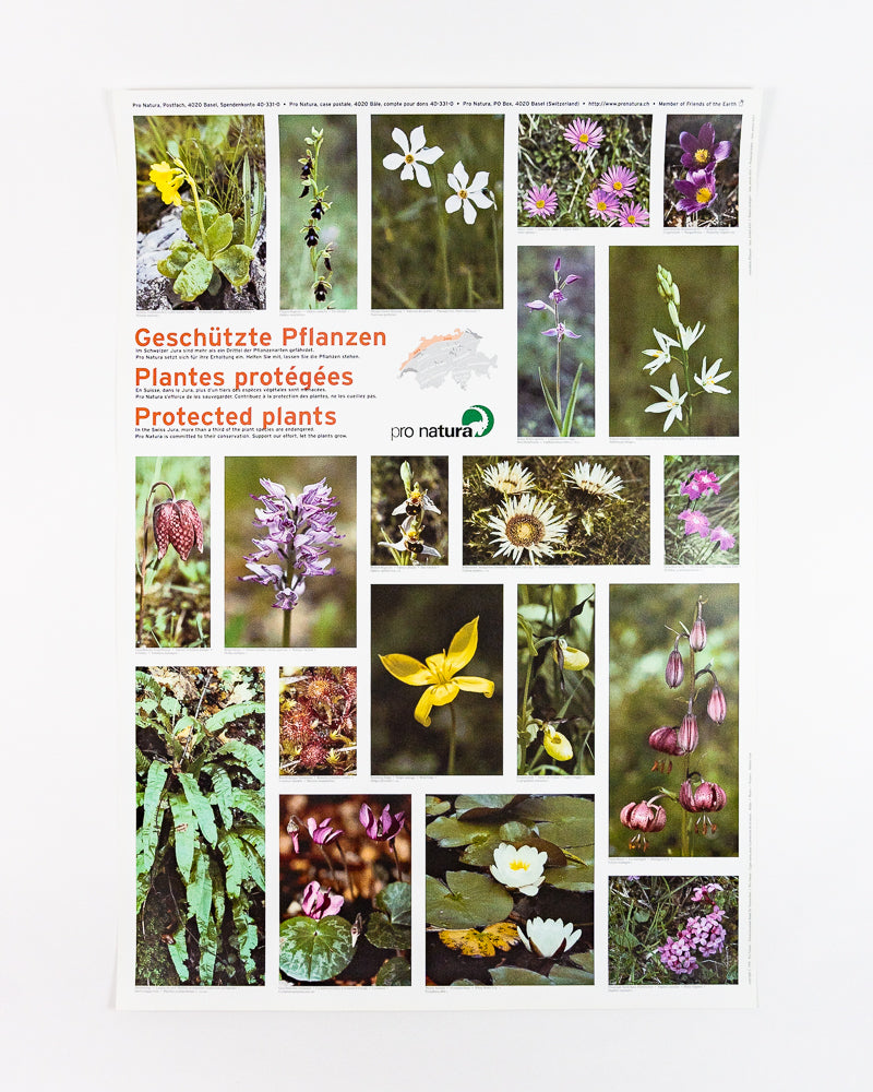 Affiche Plantes protégées Jura FR/DE/IT – Pro Natura Shop