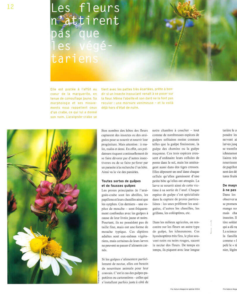 Pro Natura Magazine Spécial 2004: Des prairies vivantes 