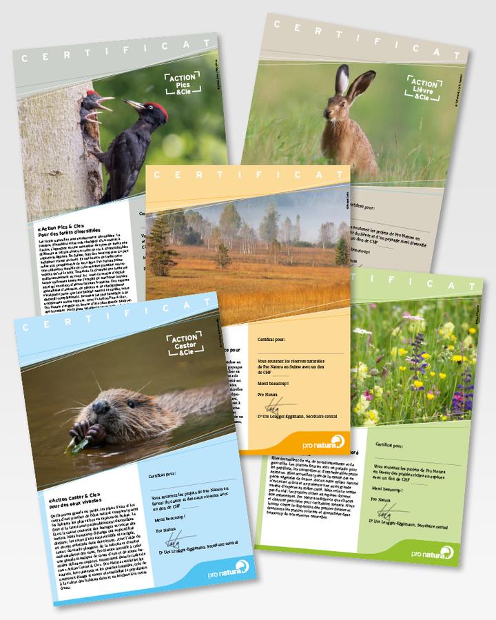 Certificat-cadeau Pro Natura en PDF